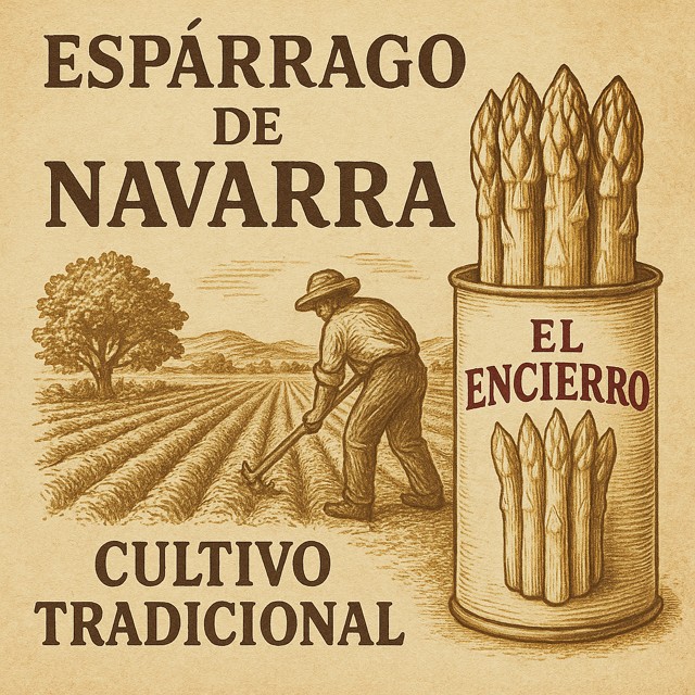 Campaña del Esparrago de Navarra 2025