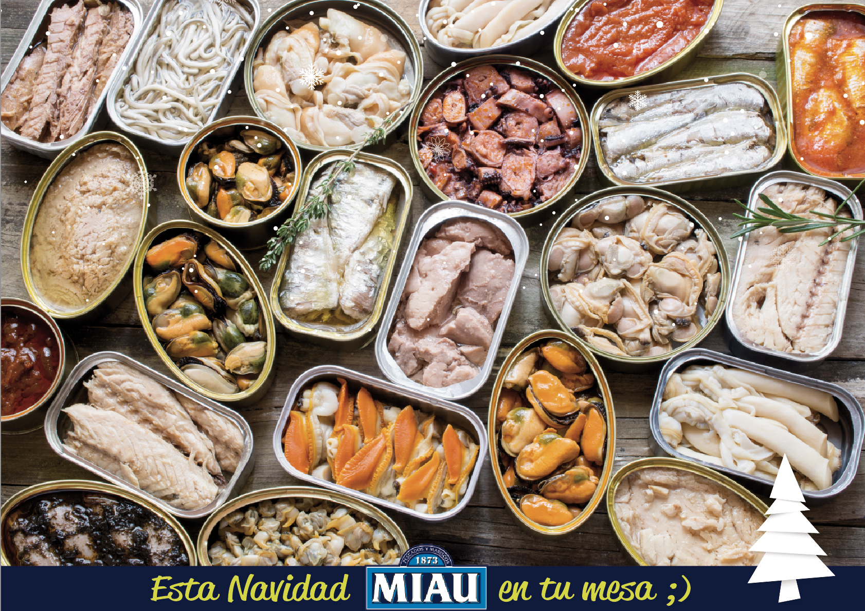 Conservas MIAU: tradición y calidad de pescados y mariscos