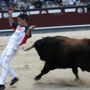 Ajustado recorte en Las Ventas (Madrid)