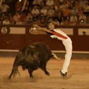 Ceñido recorte en la final del Campeonato de España en Las Ventas